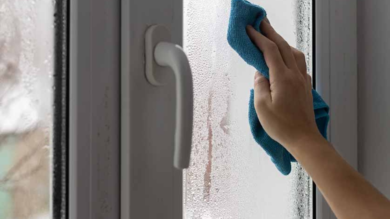 Window Condensation: Causes, Prevention & Treatment — Cascella and